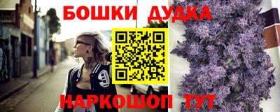 мдпв Будённовск