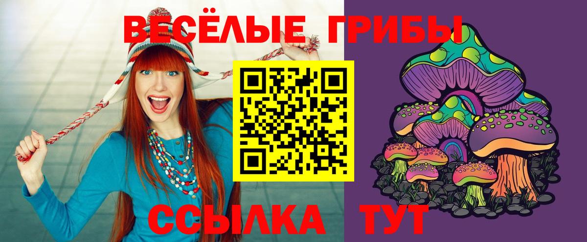Галлюциногенные грибы прущие грибы Холмск