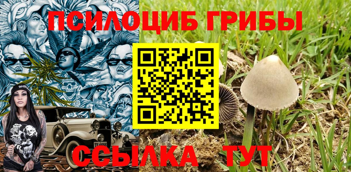 Галлюциногенные грибы ЛСД  Вход с VPN  Псилоцибиновые грибы MAGIC MUSHROOMS  Холмск 